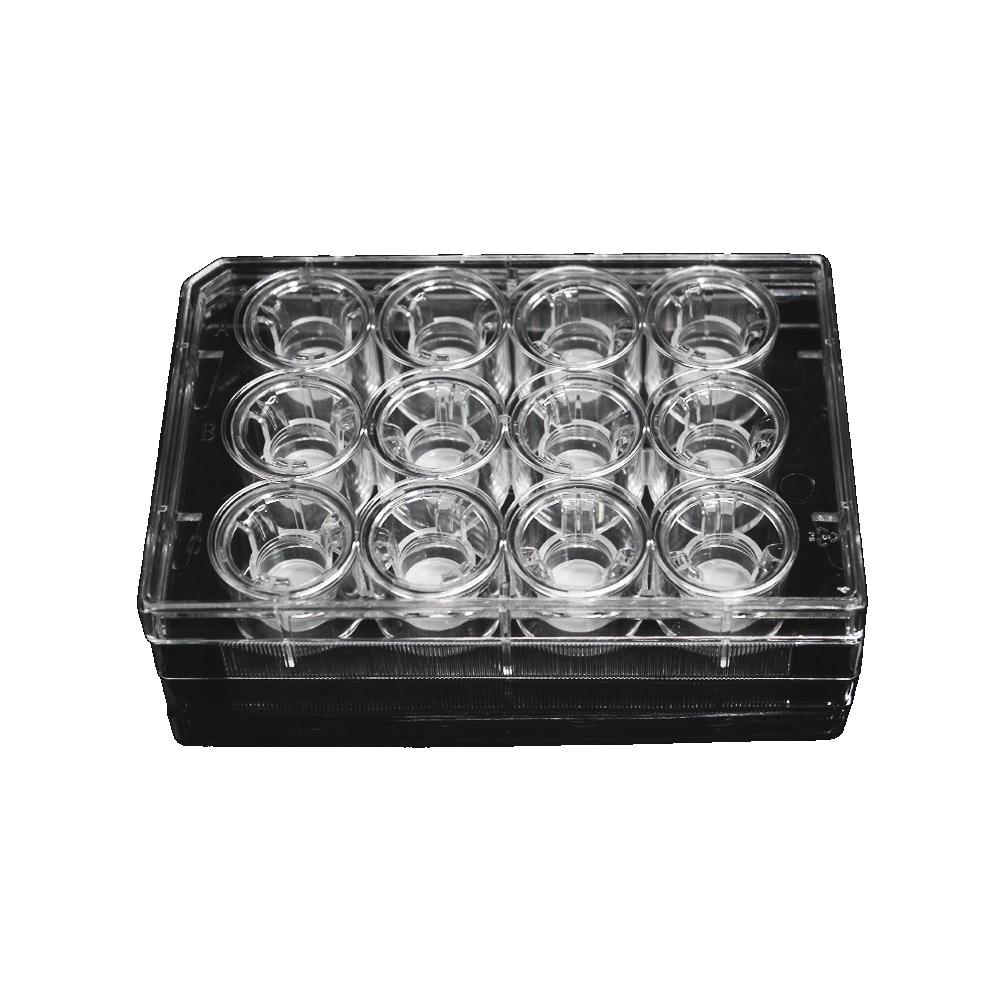 LabSelect 12mm TransWell With 3.0um Pore Polyester Membrane Insert, Sterile