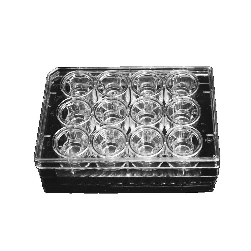 LabSelect 12mm TransWell With 0.4um Pore Polyester Membrane Insert, Sterile