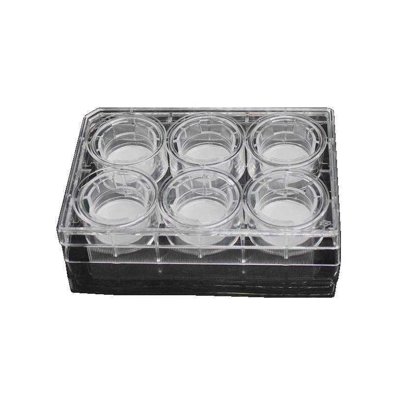 LabSelect 24mm Transwell with 1.0um Pore Polycarbonate Membrane Insert, Sterile