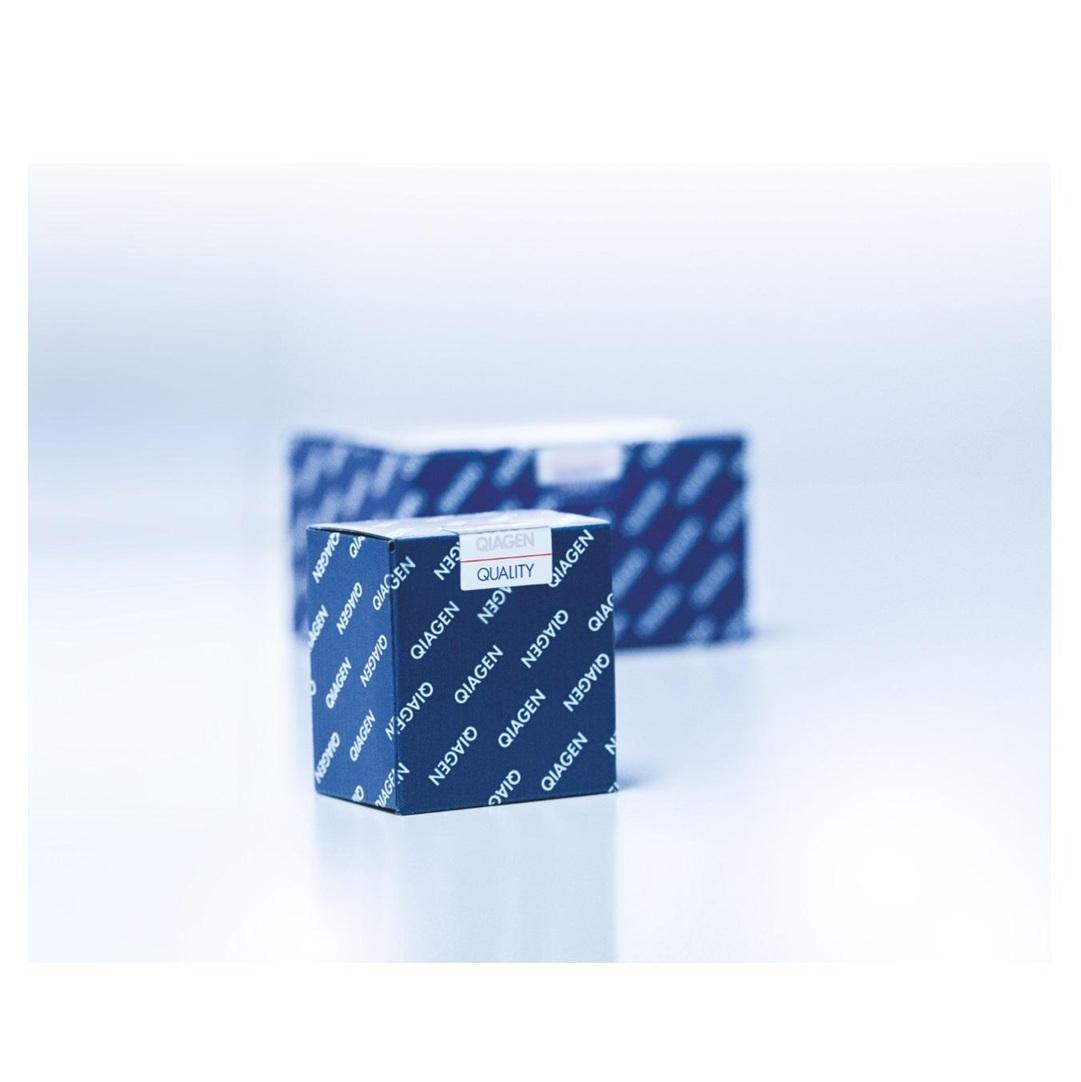 Filter-Tips, 200 µl (1024)