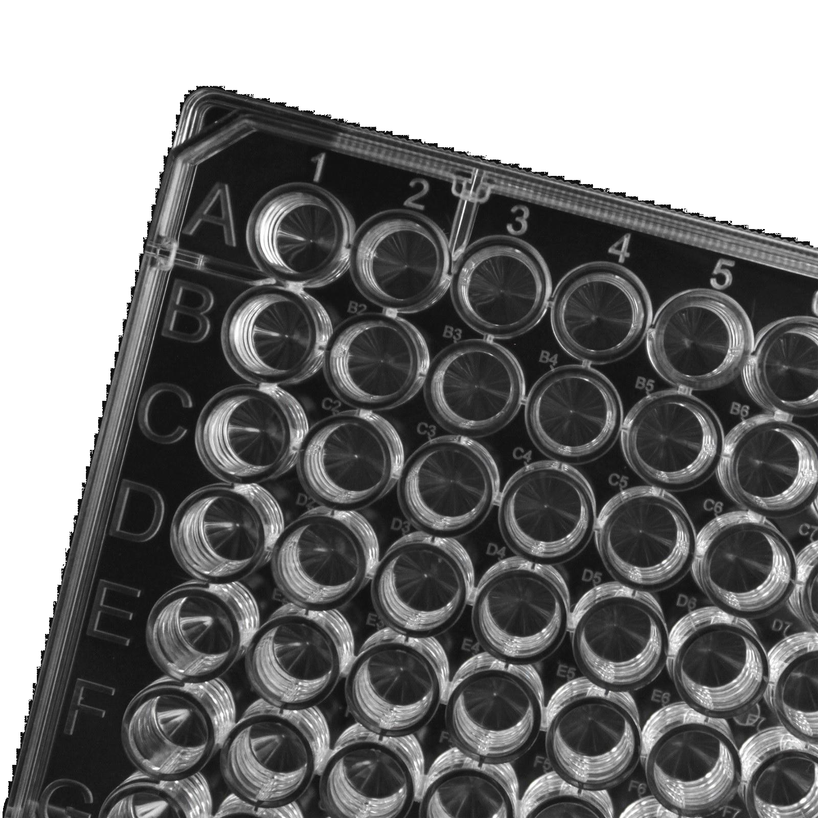 LabSelect 96-well Clear Multiple Well Plates, Skin Packing, V-shaped Bottom, Non-Treated