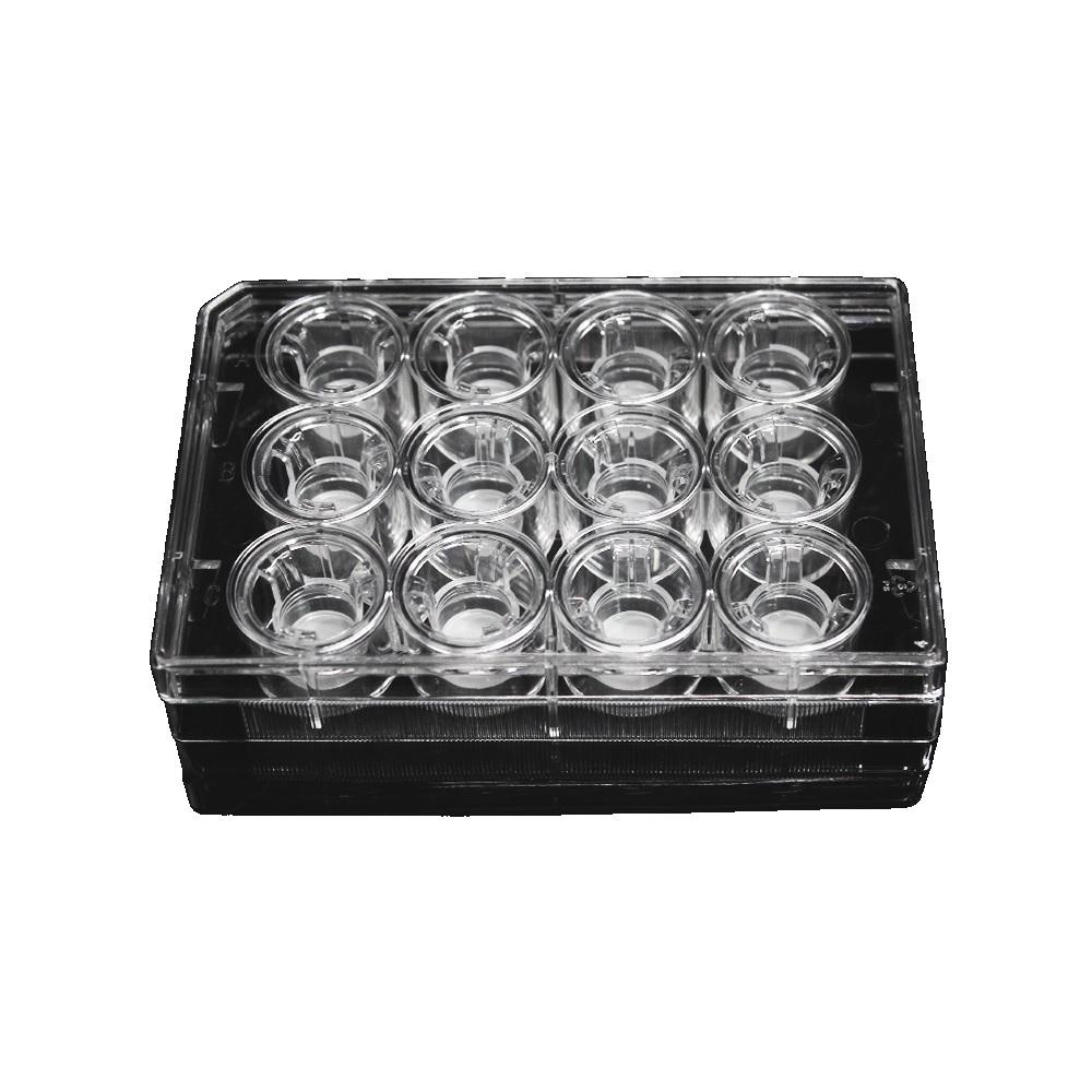 LabSelect 12mm TransWell With 8.0um Pore Polycarbonate Membrane Insert, Sterile