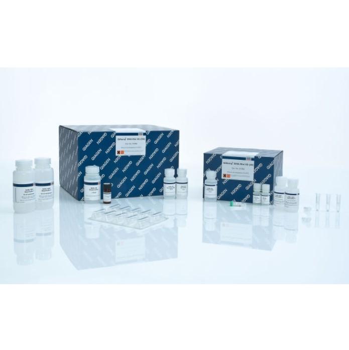QIAamp DNA Mini Kit (250)