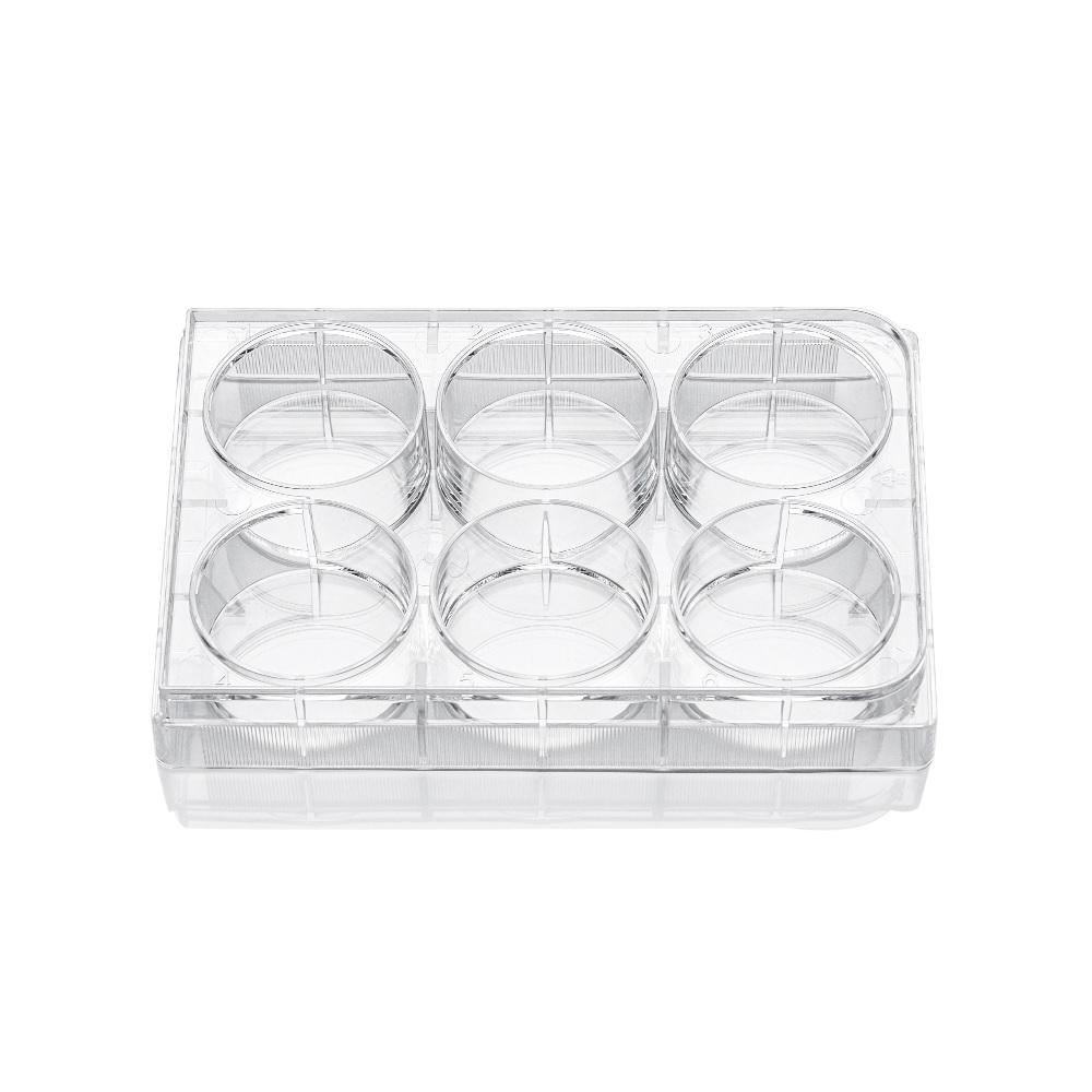 LabSelect 6-well Clear Multiple Well Plates, Non-Treated, Skin Packing
