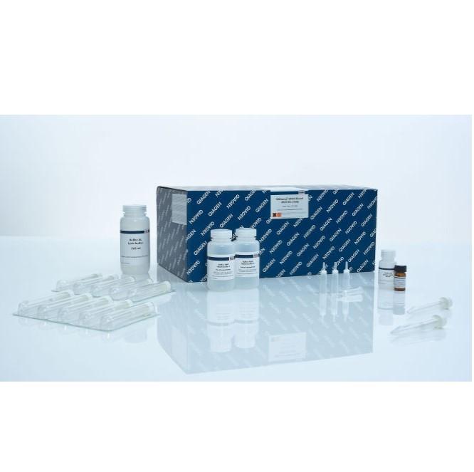 QIAamp DNA Blood Midi Kit, 100 preps