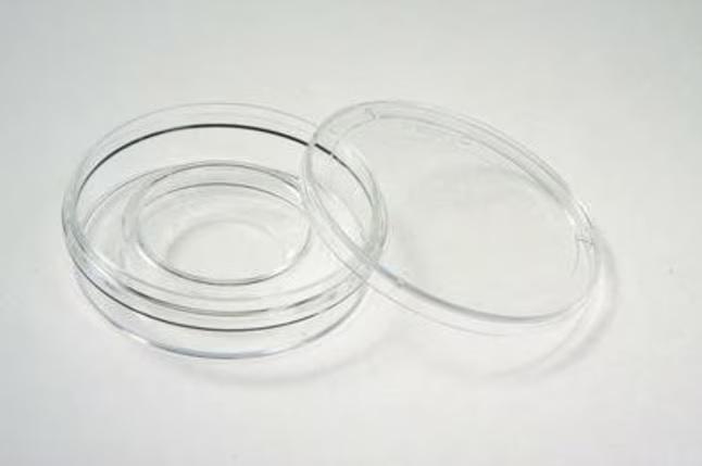 Nunc™ Center Well Dish for IVF