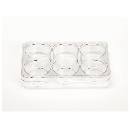 Nunc™ Cell-Culture Treated 6 well plates