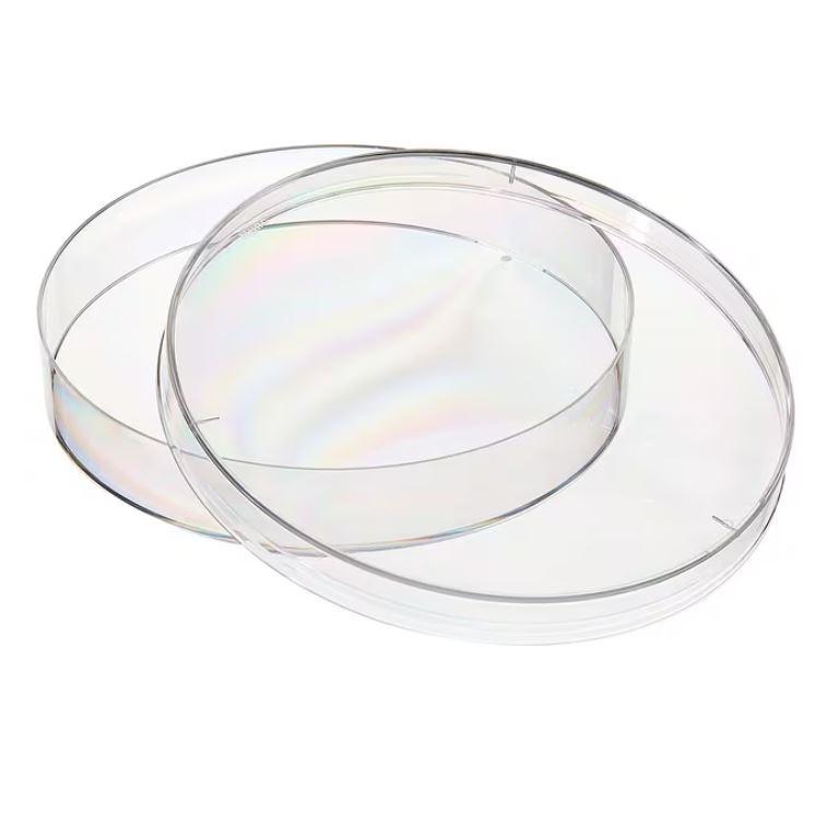 Thermo Scientific™ Nunc™ Petri Dishes , 90 mm