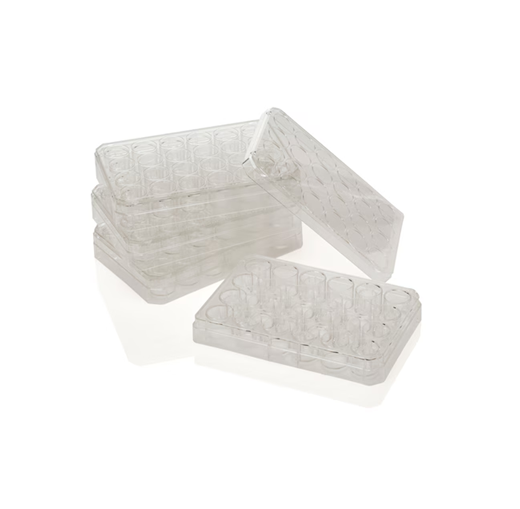 Nunc™ Polycarbonate Cell Culture Inserts in Multi-Well Plates 8 μm pore size in 6-Well Plate