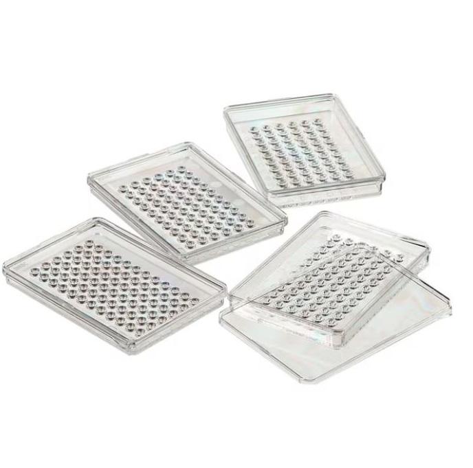 Thermo Scientific™Nunc™ MicroWell™ MiniTrays, 72,  Sterile