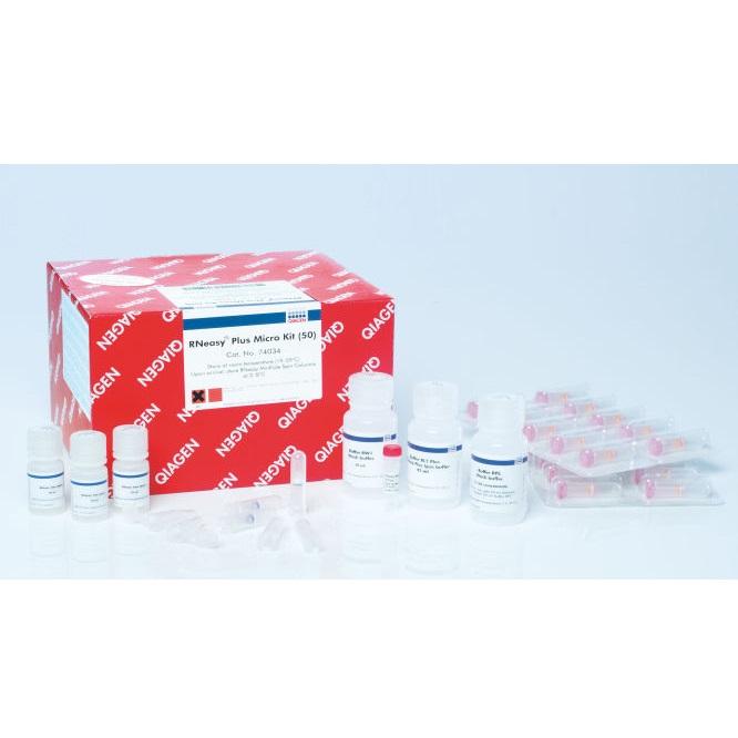 RNeasy Plus Micro Kit (50)
