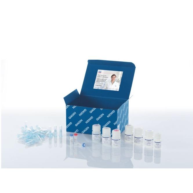 QIAprep Spin Miniprep Kit (250)