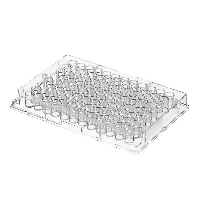 Thermo Scientific™ Clear Flat-Bottom Immuno Nonsterile 96-Well Plates, MaxiSorp