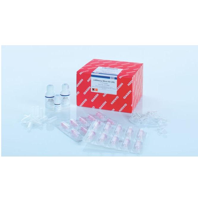 miRNeasy Micro Kit (50)