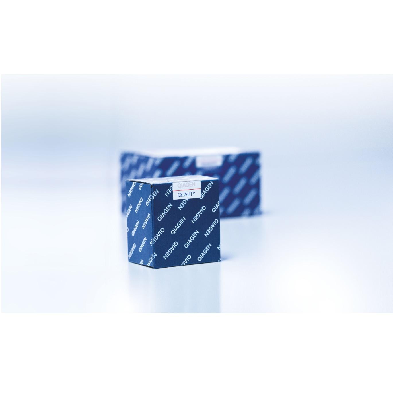 Deparaffinization Solution (16 ml)