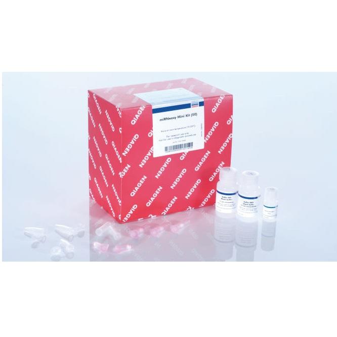 miRNeasy Mini Kit (50)