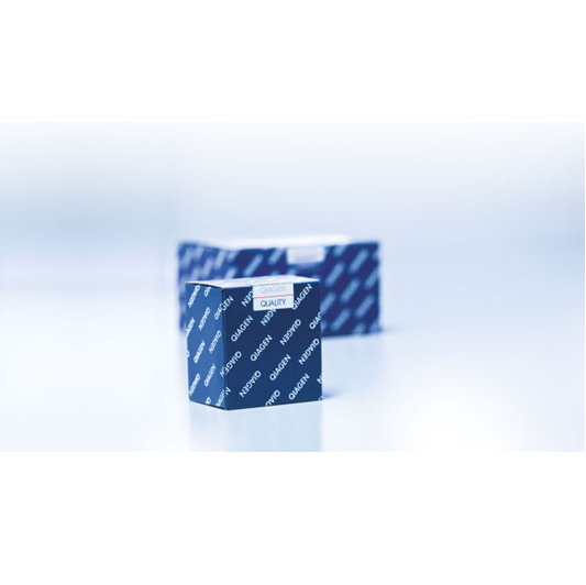 Filter-Tips, 1000 µl (1024)