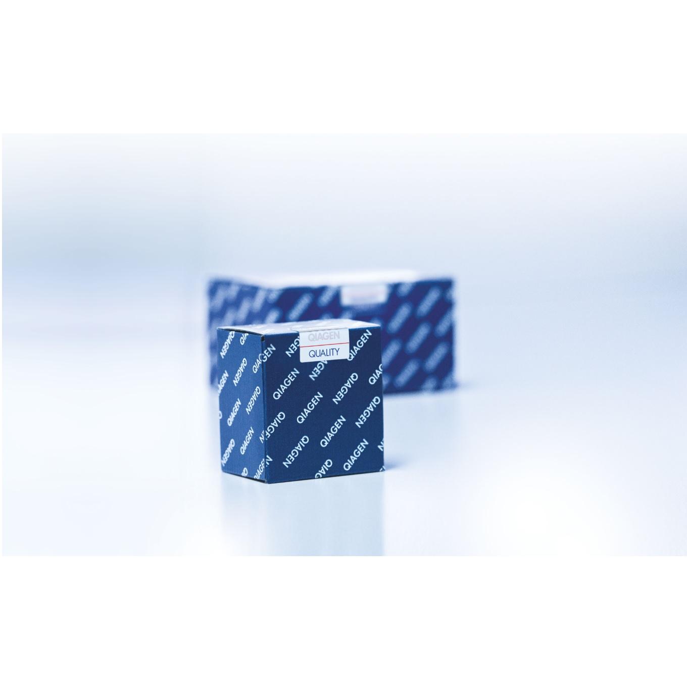 Investigator Lyse&Spin Basket Kit (250)