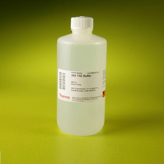 Thermo Scientific™ Pierce™ 20X TAE Buffer