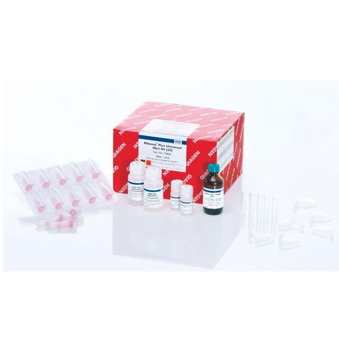 RNeasy Plus Universal Mini Kit (50)