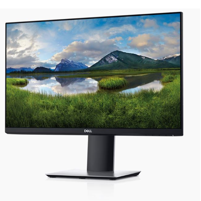 Dell 23 Monitor: P2319H