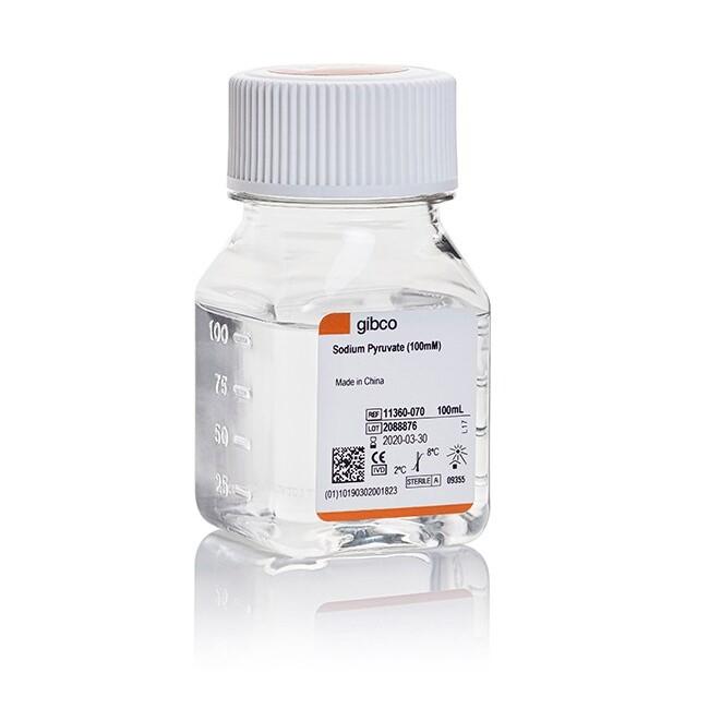 Sodium Pyruvate (100 mM), 100 mL