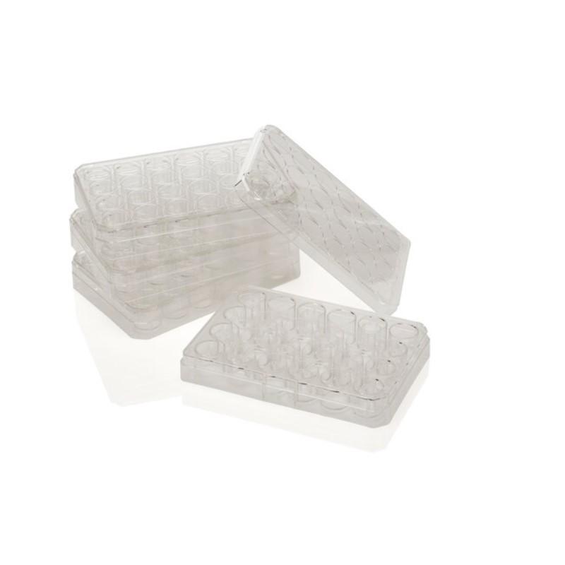 Nunc™ Polycarbonate Cell Culture Inserts in Multi-Well Plates, 0.4 μm, 6-Well Plate