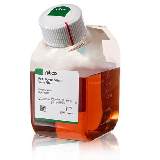 Fetal Bovine Serum, Value, 500 mL