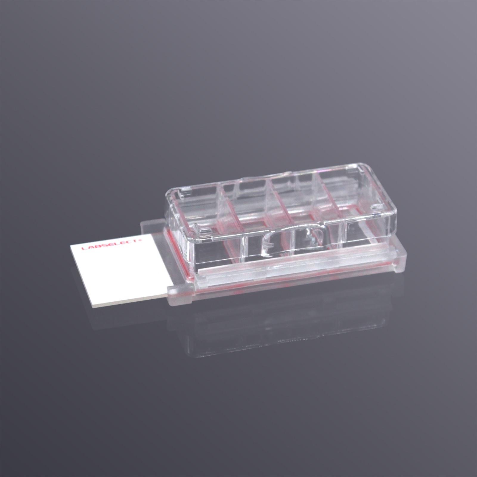 LabSelect ChAmber Slide, 4-Well , TC-Treated