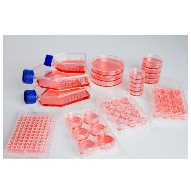 Nunclon Sphera 24-Well Plate