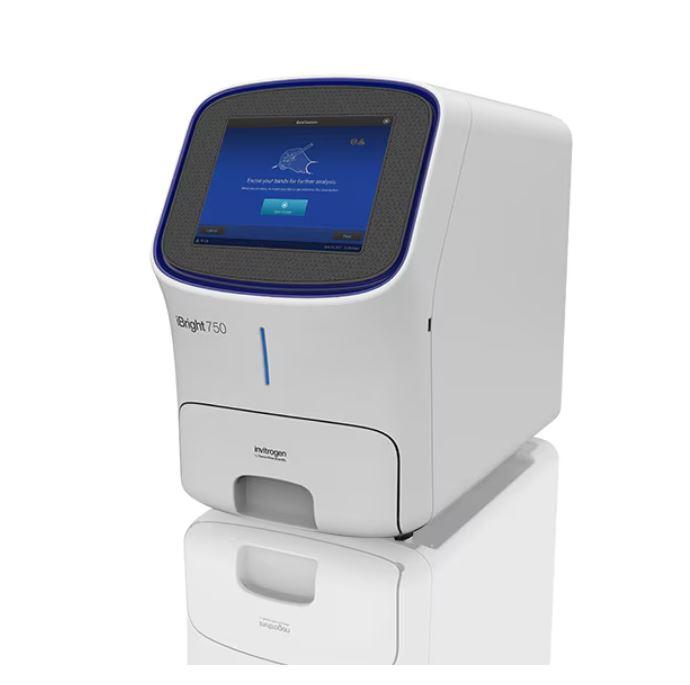 Invitrogen™ iBright™ CL750 Imaging System
