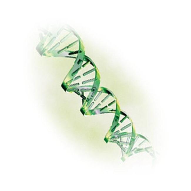 Applied Biosystems Primer Express Software v3.0.1