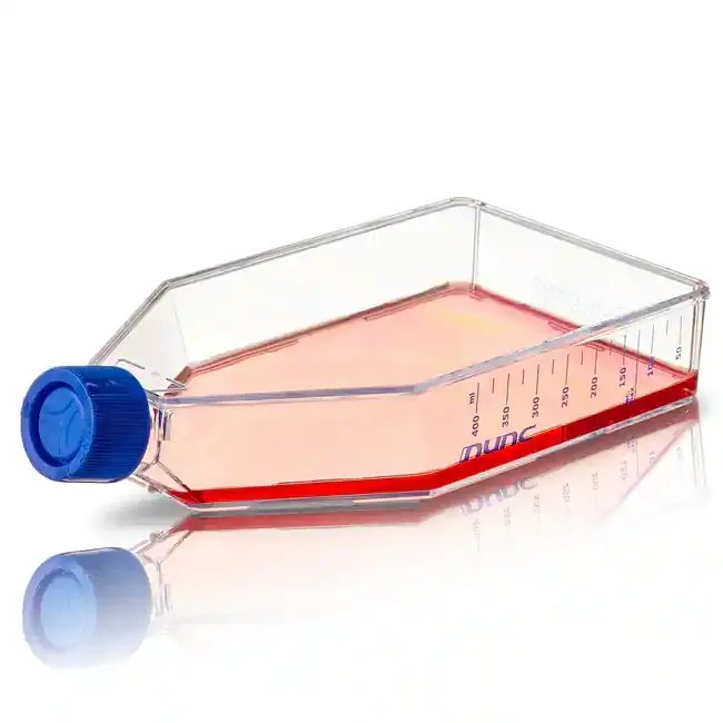 Nunc Cell Culture Treated Flask with Solid Cap, Straight Neck, Sterile (175 cm²)
