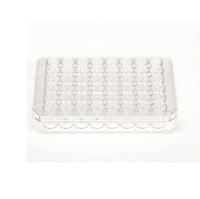 Nunc Cell-Culture Treated Multidish, Sterile, 48 wells, 0.5mL